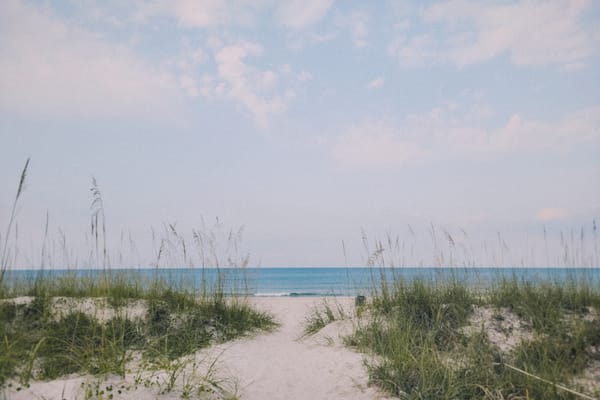 I Went To The Beach and Said "No Thank" To Everything Else